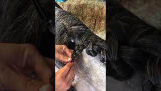 How To Plait A Long Mane Without Shortening It [upl. by Analiese]