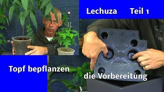 Selbstbewässerung Lechuza Topf für draußen und drinnen nutzen wir für eine exotische Pflanzen Der Au [upl. by Morita]