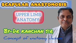 SCAPULAR ANASTOMOSIS  Concept of AnatomyUpper limbArterial Anastomosis around scapula [upl. by Woodley]