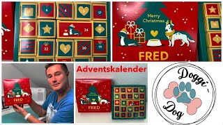 Fred amp Felia Adventskalender  Test von DoggiDogcom [upl. by Gunzburg337]