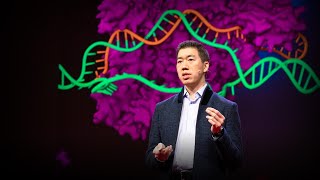 Can we cure genetic diseases by rewriting DNA  David R Liu [upl. by Repsaj]