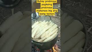 kahit kamoteng kahoy ang mahalga mairaos ang isang kainan [upl. by Till254]