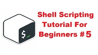 Shell Scripting Tutorial for Beginners 5  If Statement  If then  If then else If elif else [upl. by Vinni]