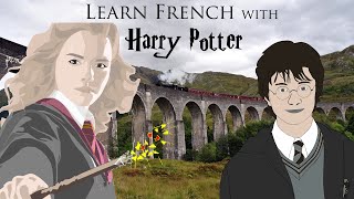 Learn French with Harry Potter 7 Parsed and Explained [upl. by Annasus]