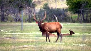 Saskatchewan Tourism Promotional Video [upl. by Waynant125]