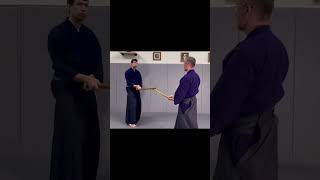 Fast Aikido Weapons Full tutorial below [upl. by Nnyltiac]