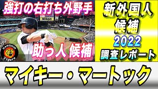 【阪神タイガース】新外国人 調査レポート2022 メジャーFA権取得 外野手 大砲候補か！？8人目の外国人は誰だ！？ マイキー・マートック選手 [upl. by Ed995]