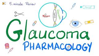 Glaucoma Pharmacology  5Minute Review [upl. by Nawiat]