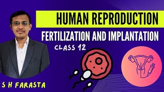 Fertilization and Implantation class 12Sex determinationHuman reproductionBy Siraj farasta [upl. by Morly]