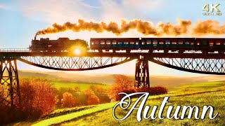 Peak Fall Foliage of Autumn in New England Europe amp N America  Colorful Autumn Foliage 4K Drone [upl. by Jolda]