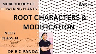 ROOT CHARACTERS AND MODIFICATIONS OF TAP ROOT  MORPHOLOGY OF FLOWERING PLANTS  NEET Dr Panda [upl. by Busiek]