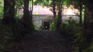 Exploring The Cooneen Poltergeist House  Most Haunted House In Ireland Vlog amp Drone [upl. by Asseralc]