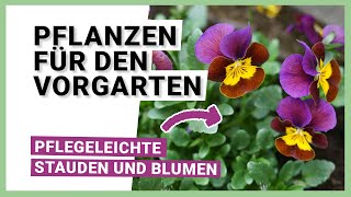 Pflegeleichte Pflanzen für den Vorgarten Stauden und Blumen [upl. by Eri]