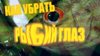 Как убрать fisheye  эффект рыбий глаз в After Effects и Sony Vegas [upl. by Shu]