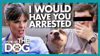 Victoria Threatens Owner Who Beat Up Their Dog with Legal Consequences  Its Me or The Dog [upl. by Sawyor832]