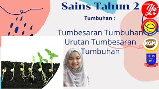 Tahun 2  Sains  Urutan Tumbesaran TumbuhTumbuhan [upl. by Sandro]