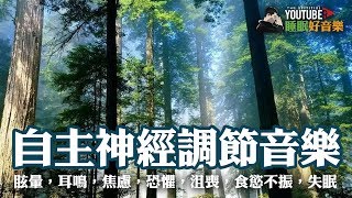 睡眠好音樂 自律神經調節音樂 有助阻止頭暈，耳鳴，焦慮，恐懼，沮喪，食慾不振，失眠，抑鬱 α波＋θ波 潛意識力量 [upl. by Ted]