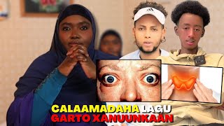 SAALAX JJ XANUUNKA UU NALA WADAAGAY CALAAMADAHA LAGU GARTO IYO DARYEELKA UGU HABOON [upl. by Jere]