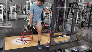 Supported contralateral DB Bulgarian split squat [upl. by Niarb]