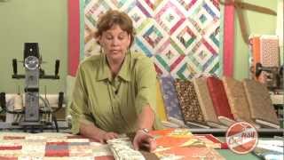 How To Add Borders to Your Quilts with Jenny Doan from Quilting Quickly [upl. by Klecka41]