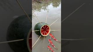 Survival Skills Single mom with watermelon fish trap survival camping bushcraft fish [upl. by Nasar]