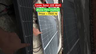 Loom Solar  225 Watt Mono Perc Half cut Solar Panel Price shorts solarpanel loomsolar [upl. by Starks]