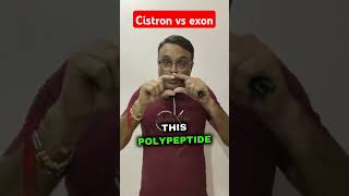 Cistron vs exonpolypetide chain entire dna limituptomrnapankaj sir [upl. by Ennayk]