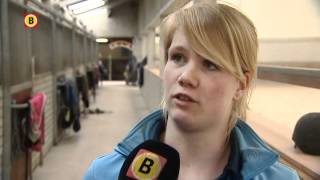 Paard Madeleine WitteVrees uit Schijndel dood [upl. by Lontson]