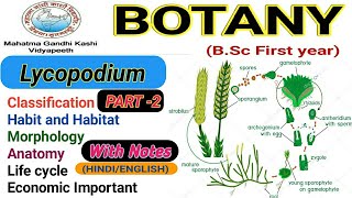 Lycopodium life cycleLycopodium homeopathic medicine  PART2 [upl. by Eynobe191]