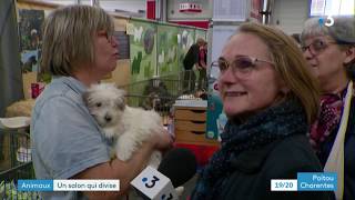 Salon du chiot  Poitiers [upl. by Ahseek]