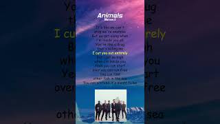 Maroon 5  Animals Lyrics shorts [upl. by Kalina]