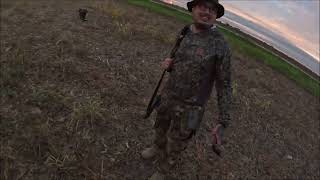 Dove Opener 2024 [upl. by Arimat]