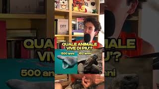 Quale Animale vive di Più🐢 animali natura podcast perte [upl. by Wallinga]