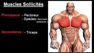 Exercice musculation Pectoraux  quot Développé incliné haltères quot [upl. by Ahserb362]