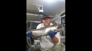 How to rig for salmon fishing using brads super baits [upl. by Schacker]