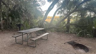 Tent Sites at Edisto Beach State Park Live Oaks Campground [upl. by Ahsieat]