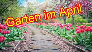 Gartentipps amp Gartenarbeit im Monat April – Der Garten im April Quicktipp [upl. by Arbrab374]