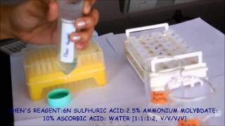 How to assay the free inorganic phosphorus  HIP assay [upl. by Clova228]