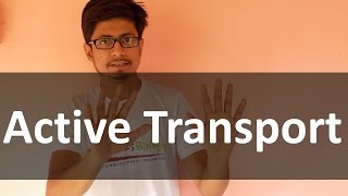 Active transport  Membrane transport lecture [upl. by Gunthar]