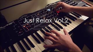 Just Relax Vol 2 Another DSI Prophet Rev2 Ambient Piece ft Moog Subsequent 37 [upl. by Ahsats591]