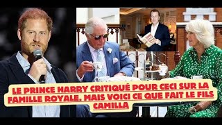 Le Prince Harry critiqué pour ceci sur la famille Royale Mais voici ce que fait le fils Camilla [upl. by Zosema322]