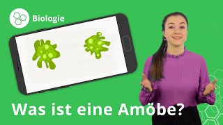 Amöben Aufbau Fortpflanzung Nahrungsaufnahme – Biologie  Duden Learnattack [upl. by Iz57]