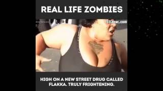 FLAKKA ZOMBIES [upl. by Berny]