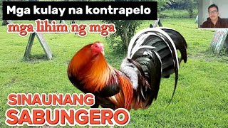 MGA KULAY NA KONTRAPELO  MGA LIHIM NG MGA SINAUNANG SABUNGERO tpjclassictv [upl. by Agueda]