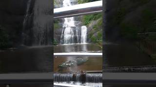 കൊടേക്കനാൽ വെള്ള ച്ചാട്ടംKodaikanal Water Falls travel shortvideo shortfeed nature [upl. by Aihsia]