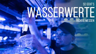 HOWTO Wasserwerte im Meerwasseraquarium richtig messen  Coralaxy [upl. by Katharyn]