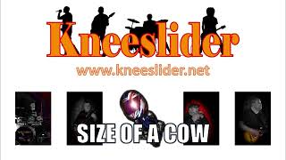 Size Of A Cow  The Wonderstuff Kneeslider Cover [upl. by Post]