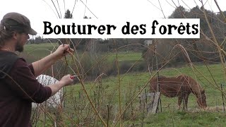 Bouturer des Forêts [upl. by Freddy]