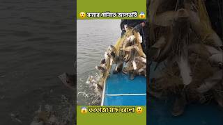 Rainy Day Best Fishing 😲  বন্যার পানিতে একঝাঁক তরতাজা মাছ ধরলো shorts amazingfishing fishing [upl. by Ellehciram464]