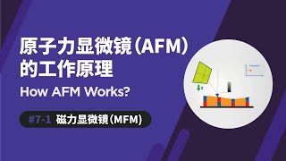 磁力显微镜 MFM  原子力显微镜如何运作  How AFM Works [upl. by Arinay]